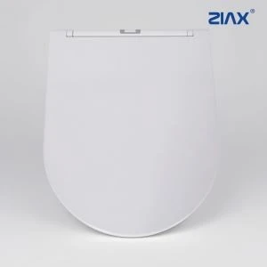 PP Toilet Seat: Safe, Anti-bacterial, Durable & Convenient best